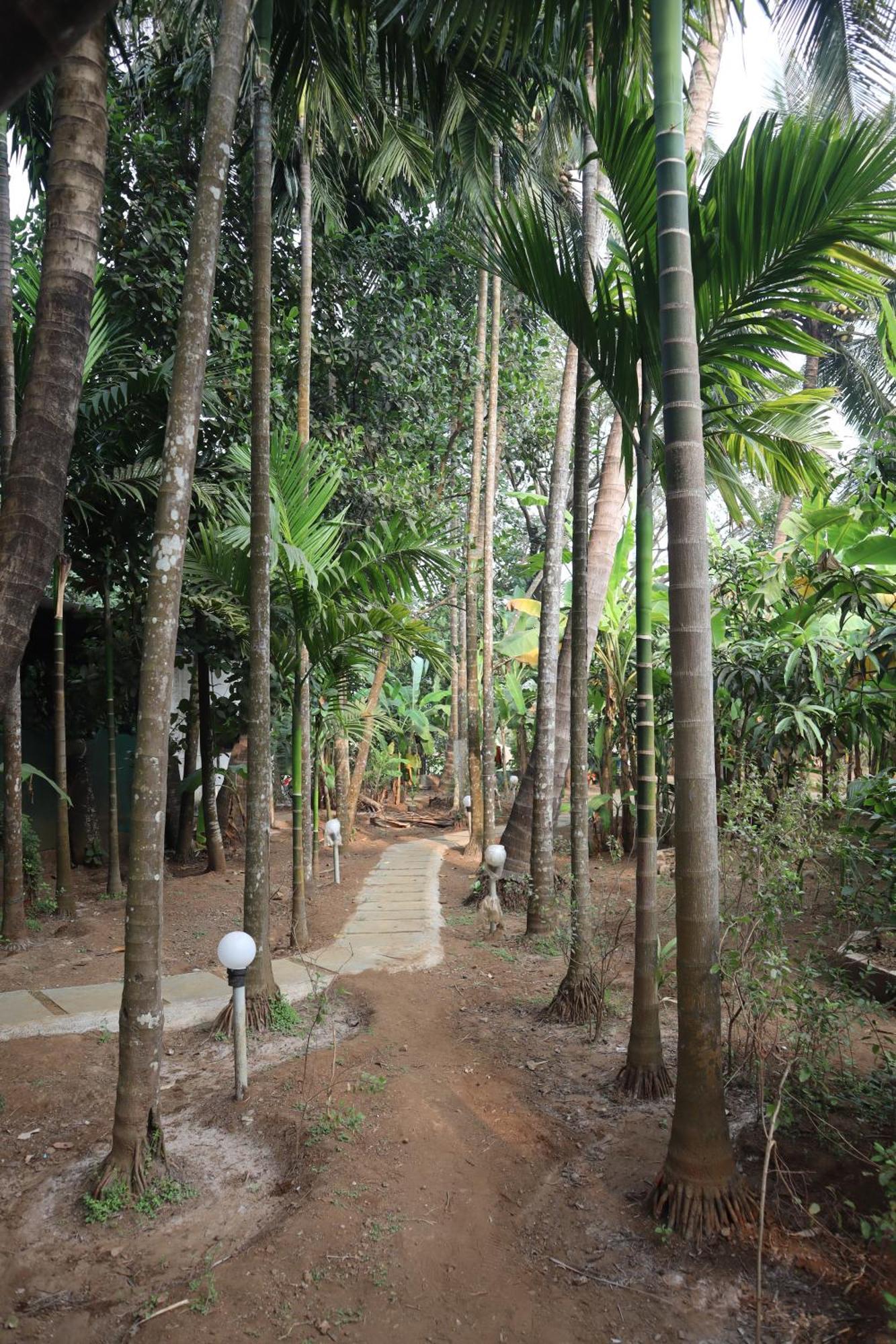 Gokul Cottage & Villa Revadanda Exterior photo